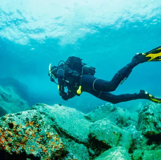 Plong&eacute;e sous-marine